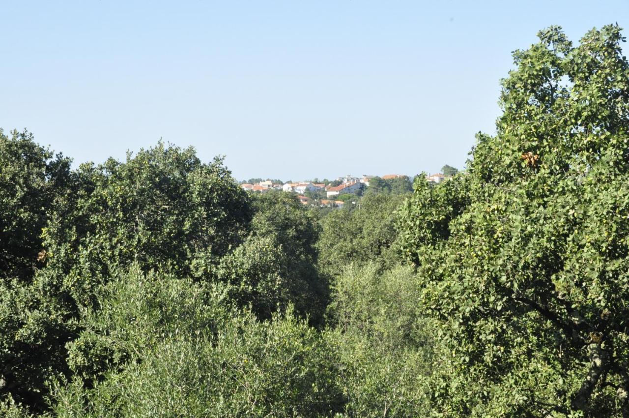 O Cantar Dos Passarinhos Fátima Buitenkant foto